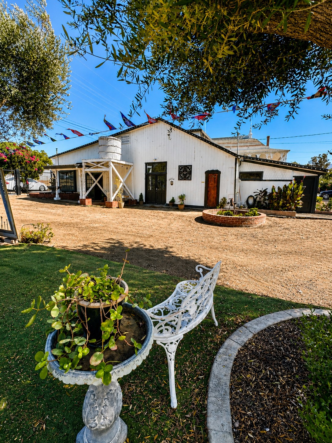 The lawn under the olive tree, with a white iron garden bench and pennants strung above the courtyard