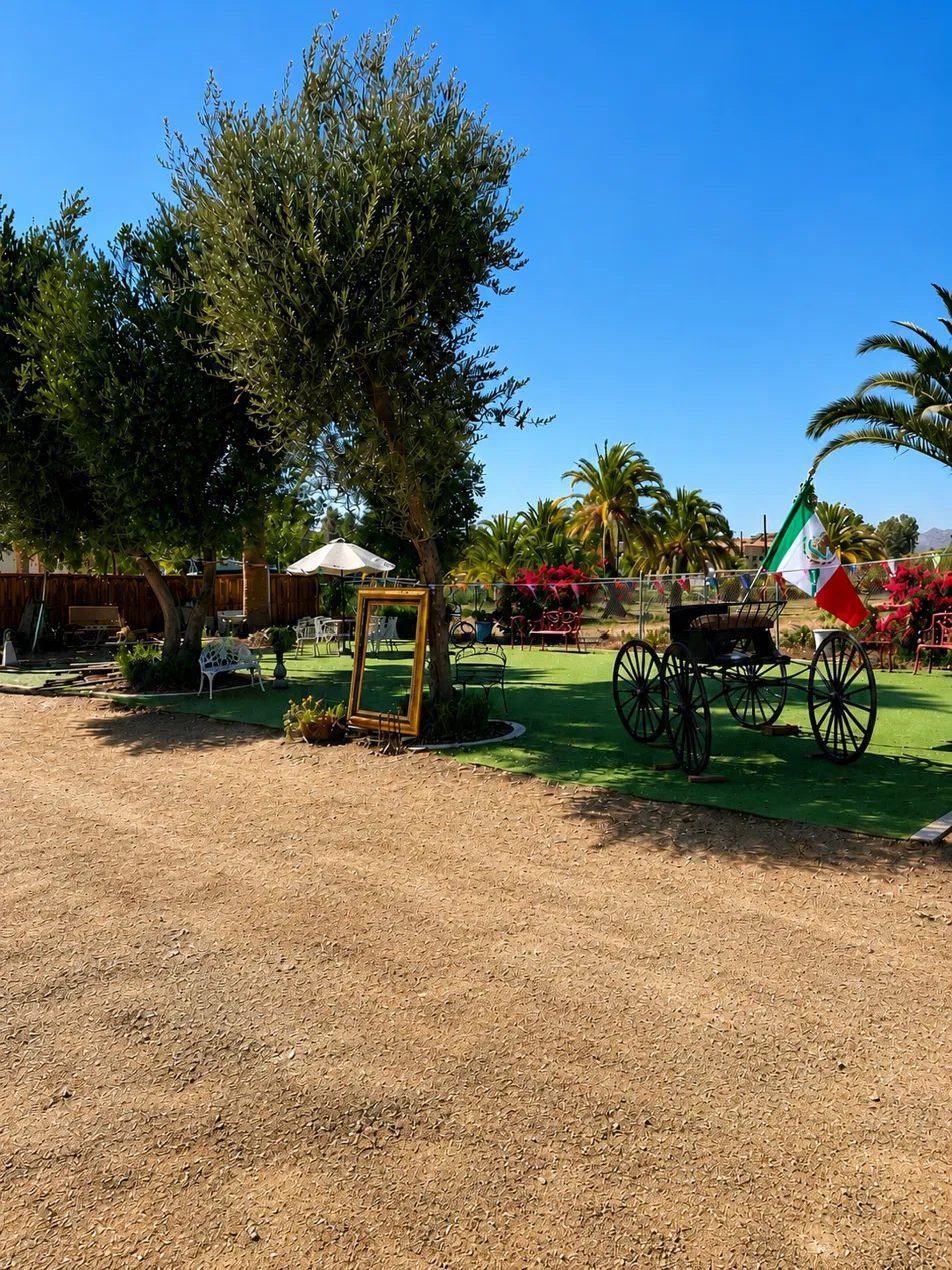 The garden lawn at The Crescent House under olive and palm trees, with an antique horse carriage