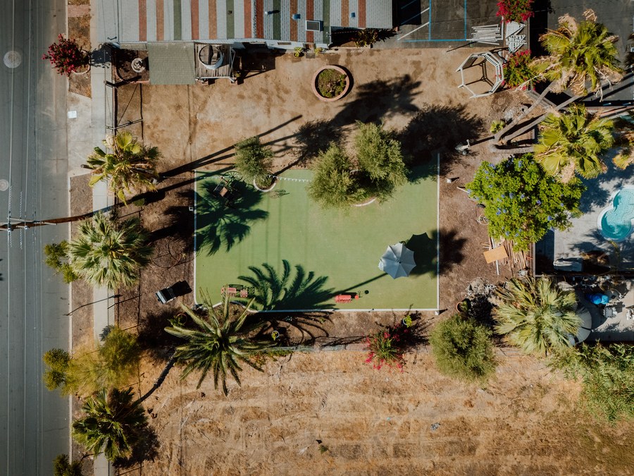 The Rose Garden lawn, ringed by palms